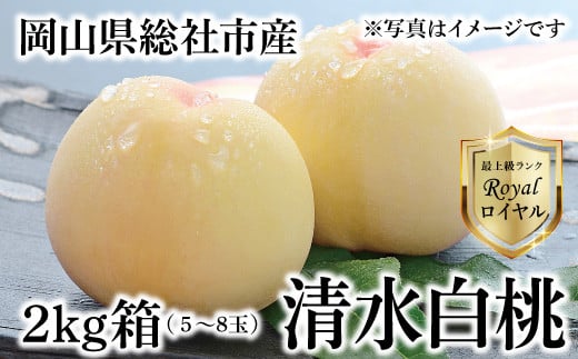 白桃「清水白桃ロイヤル（2kg箱）」 岡山県総社市産【2024年産先行予約】24-050-001 - 岡山県総社市｜ふるさとチョイス - ふるさと納税 サイト