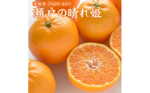 先行受付＞瀬戸の晴れ姫 2L～Sサイズ 4kg(25～60玉) 愛媛県 JAおちいまばり【1439143】 - 愛媛県上島町｜ふるさとチョイス -  ふるさと納税サイト