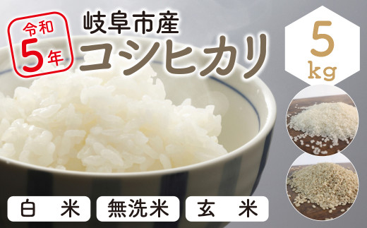 令和5年産 岐阜市産コシヒカリ（無洗米） 5ｋｇ 大野食糧うまい米