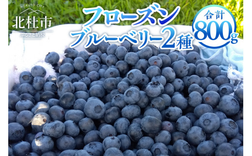 ブルーベリー 愛媛県産 無農薬 大粒 5kg 冷凍 （無農薬