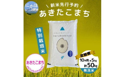 【令和5年産新米予約】【無洗米】<10ヵ月定期便>特別栽培米あきたこまち5kg×10回 計50kg