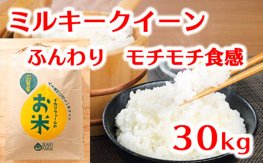 5年産】ふっくら＆もっちり！「ミルキークイーン」白米30kg【C044SM