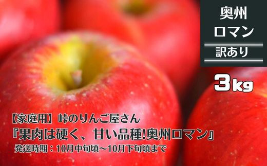 家庭用】峠のりんご屋さん 奥州ロマン 3kg（10～12 玉入り）旬りんご - 岩手県一関市｜ふるさとチョイス - ふるさと納税サイト