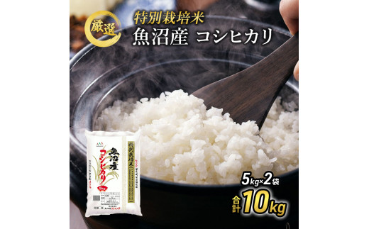 №5762-0219]令和5年産 特別栽培米 お米アドバイザー厳選 魚沼産