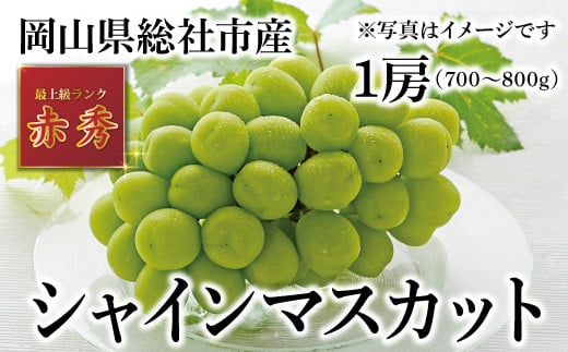 シャインマスカット（赤秀・1房）岡山県総社市産【2024年産先行予約】24-023-001 - 岡山県総社市｜ふるさとチョイス - ふるさと納税サイト