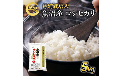 №5762-0218]令和6年産 【特別栽培米】 お米アドバイザー厳選 魚沼産  