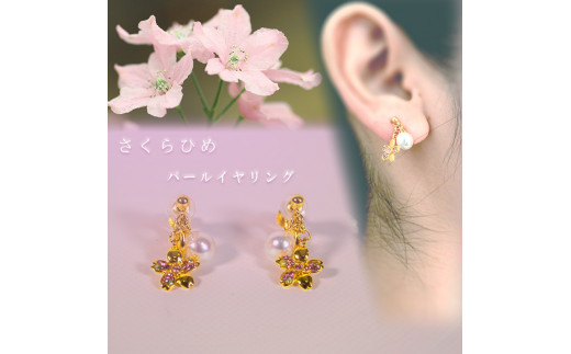 yQRszЂ߃p[CO/S[h | l  ANZT[ v[g Mtg WG[ 蕨 a j  Vv p[ p[O ^ AN
