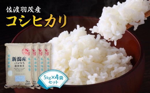 令和５年度産】佐渡羽茂産コシヒカリ 5kg×4袋セット - 新潟県佐渡市