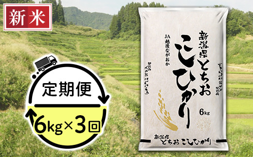 75-4T063【3ヶ月連続お届け】新潟県長岡産コシヒカリ（栃尾地域）6kg