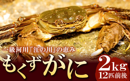 先行予約】島根県産 もくずがに 約2kg【12匹前後 オスメス無選別 甲殻類 蟹 カニ 川がに 川ガニ ツガニ ズガニ 大型 期間限定 季節限定  9月中旬～11月下旬発送 冷蔵】 - 島根県美郷町｜ふるさとチョイス - ふるさと納税サイト