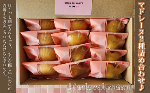 マドレーヌ2種詰め合わせ♪ ふるさと納税 焼菓子 詰め合わせ ギフト