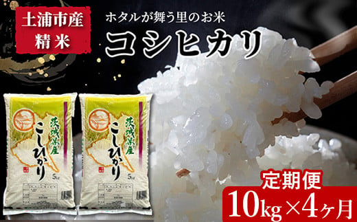 定期便 4ヶ月】令和5年産新米 土浦市産コシヒカリ 精米10kg ホタルが