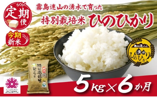 お米の定期便／6か月コース】霧島連山の湧水ヒノヒカリ特別栽培米（定期便 国産 米 精米済み 送料無料） - 宮崎県小林市｜ふるさとチョイス -  ふるさと納税サイト