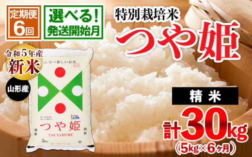 定期便6回】令和5年産米☆発送開始月が選べる☆山形産 特別栽培米 つや