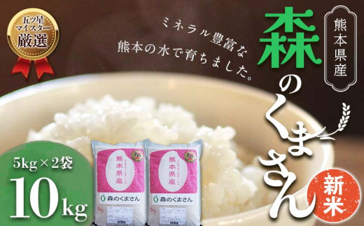 ふるさと納税 あさぎり町 【令和5年産熊本県産 ひのひかり】白米10キロ-