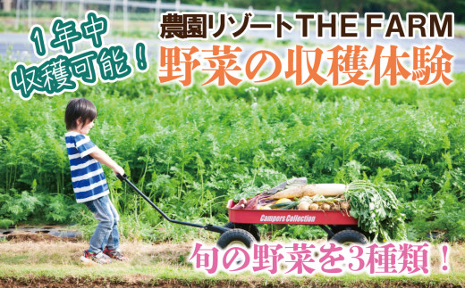 THE FARM＞コテージ宿泊にも使えるTHE FARM利用券【1422344】 - 千葉県