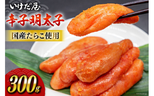 y}sz 炵q 300g [  }s 10008] hqq  ߂񂽂 ߂񂽂 ① 