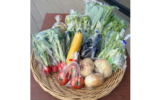 yޗǌc{z̉wXeBÁE u{̐VN8ވȏlvII ^ NHi { VN  ޗǌ c{