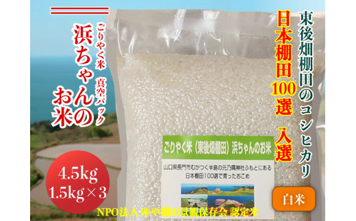 1149)お米 こしひかり 5kg 【令和5年産】 「ごりやく米」 棚田米 東後