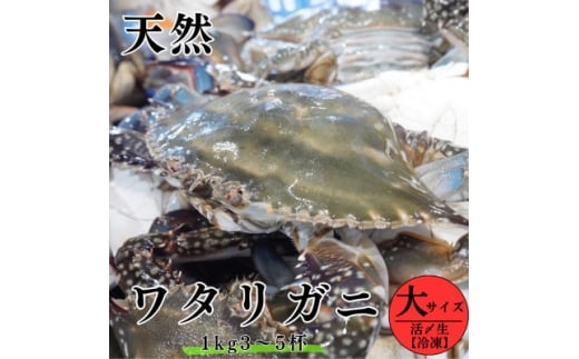 活〆生ワタリガニ(大サイズ)1kg3～5杯 冷凍便＼特製三杯酢付き