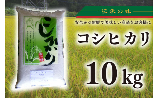 令和7年産 コシヒカリ 10kg