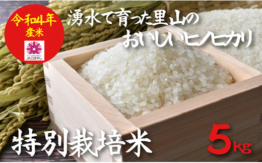 令和4年度産】湧水で育った山麓の特別栽培米(2等級以上) 5kg - 宮崎県