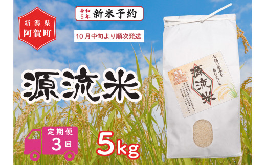 令和5年産米》【定期便】3回 源流米 コシヒカリ5kg ～七福の恵をあなた