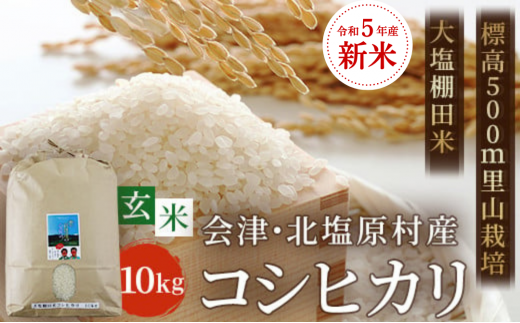 新米コシヒカリ10キロ玄米