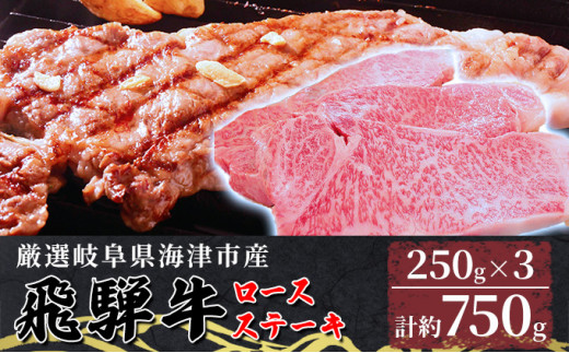 y򕌌CÎsz[5533-0317]yˋzCÎsY[XXe[L250g×3 yzBsFz