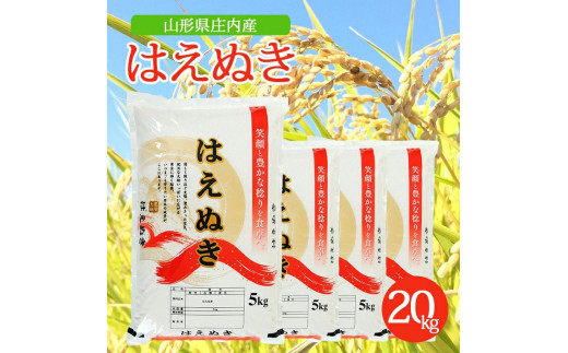 SB0558 令和6年産【精米】はえぬき 10kg(5kg×2袋) AK - 山形県酒田市｜ふるさとチョイス - ふるさと納税サイト