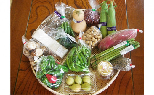 y򕌌CÎsz[5533-0144]̂ꂽāI{̐VN lߍ킹