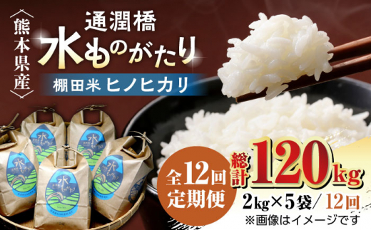 ふるさと納税 福岡県 福津市 【年12回毎月お米定期便】モッチモチのお