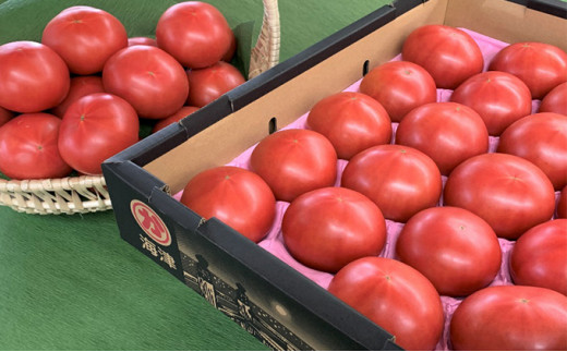 y򕌌CÎsz[5533-0159]g}g