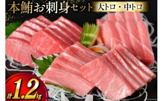 【高級旅館御用達】 本鮪 お刺身セット 大トロ 800g 中トロ 400g [豊洋海産流通 宮城県 気仙沼市 20562097] 魚 刺身 まぐろ  マグロ 本マグロ 鮪 柵 本鮪 本まぐろ 本鮪柵 セット 詰め合わせ 魚介 海鮮