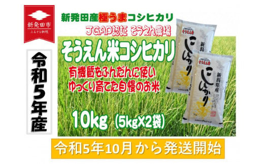 令和5年産 新潟県産 そうえん米コシヒカリ 5kg×2袋 【 新潟県 新潟産 新潟米 新発田産 新発田 お米 米 玄米 コシヒカリ とんとん市場  せいだ そうえん米 5kg 2袋 10kg 数量限定 D09_01 】 - 新潟県新発田市｜ふるさとチョイス - ふるさと納税サイト