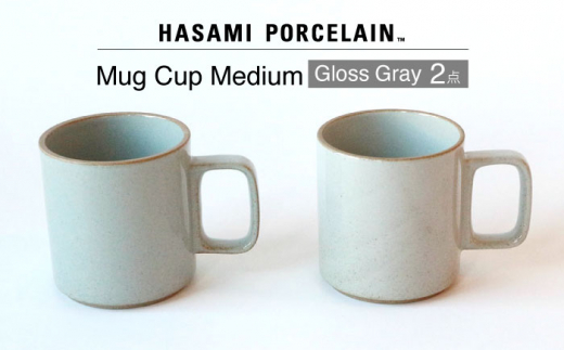 HASAMI PORCELAIN】マグカップ グロスグレイ 2点セット 食器 皿【東京西海】【ハサミポーセリン】 [DD196] - 長崎県波佐見町｜ふるさとチョイス  - ふるさと納税サイト