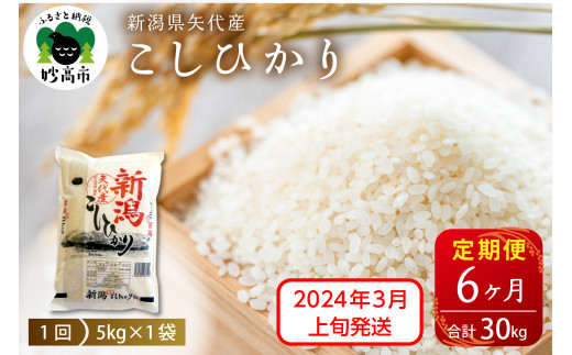 【2024年3月上旬より発送】新潟県矢代産コシヒカリ5kg×6回(計30kg)