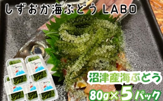 ふるさと納税「海ぶどう」の人気返礼品・お礼品比較 - 価格.com