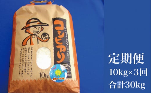 y䌧zOszyցzЂ  s[N 10kg×3 v30kgi䌧zOsYj