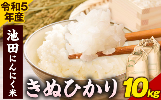 令和5年産 池田にんにく米 10kg (5kg×2袋) (紀の川市産きぬひかり