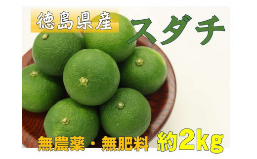 自然農スダチ（約２ｋｇ入り） 2024年９月中旬～下旬頃から順次発送予定 先行予約 - 徳島県吉野川市｜ふるさとチョイス - ふるさと納税サイト