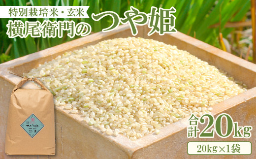 つや姫 玄米20kg 令和6年産 農家直送 令和6年 山形県