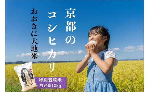 京丹後産 特別栽培米コシヒカリ「おおきに大地米」10kg《令和5年度産