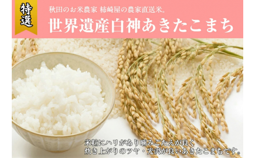 【白米】秋田県産 あきたこまち 30kg（10kg×3袋）お米専門農家だからできる こだわりの産地直送米 令和5年産