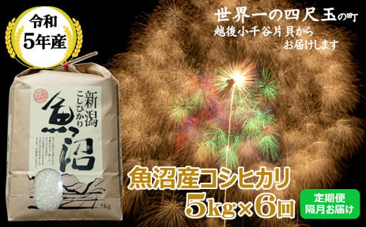 r05-60-6K ＜令和5年産＞魚沼産コシヒカリ定期便 5kg×6回（隔月お届け