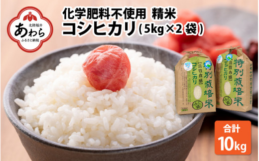 令和5年産】【定期便６回】 化学肥料不使用コシヒカリ 精米 5kg×6回