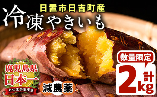 サンプル写真