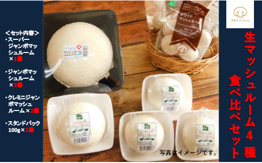舟形マッシュルーム】生マッシュルーム4種食べ比べ - 山形県舟形町