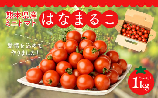 熊本県産 ミニトマト はなまるこ 1kg 野菜 旬 熊本 とまと - 熊本県八代市｜ふるさとチョイス - ふるさと納税サイト