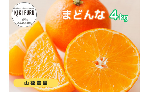 山徳農園「まどんな」４kg（数量限定） - 愛媛県西予市｜ふるさと